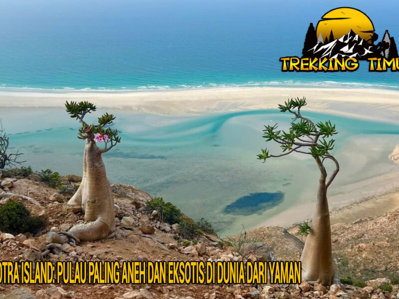 Socotra Island