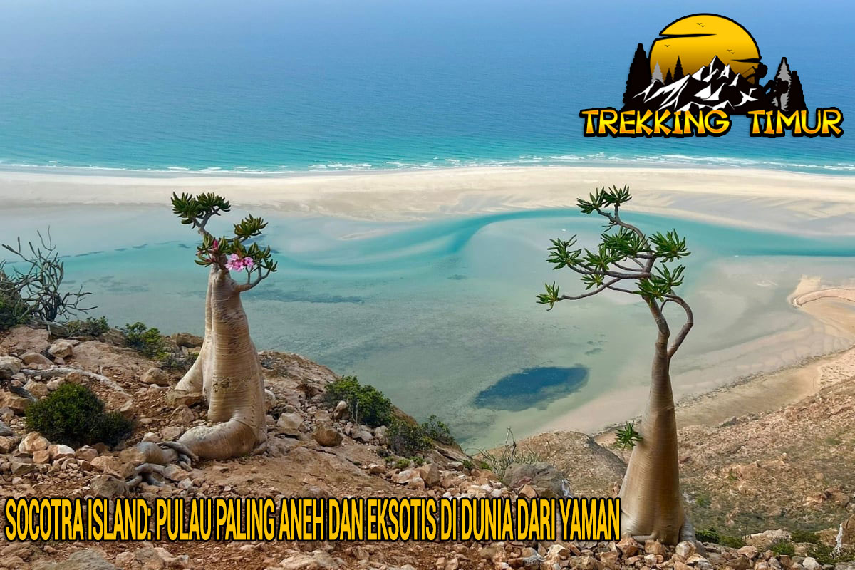 Socotra Island